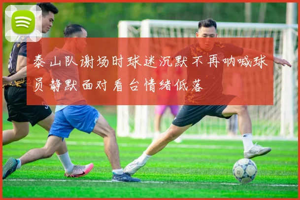 泰山队谢场时球迷沉默不再呐喊球员静默面对看台情绪低落